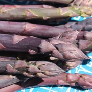 Kategoriename Kategoriename